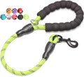 2/4/5/6 FT Dog Leash with Comfortable Padded Handle and Highly Reflective Threads for Small Medium and Large Dogs (2FT-1/2'', Green) by BAAPET