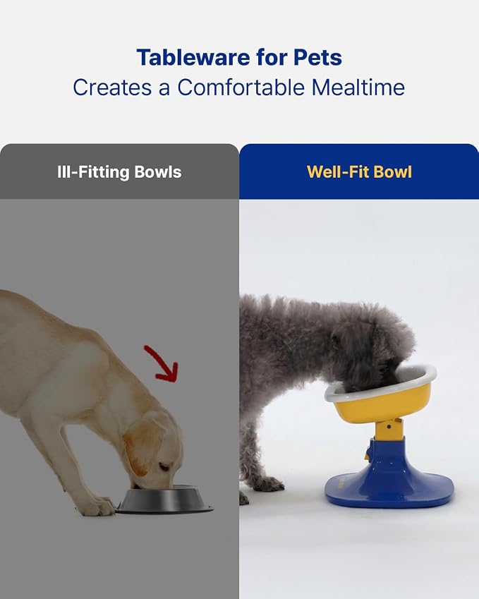 Well Fit Dog Bowl, Durable Ceramic Cat & Dog Food and Water Bowl | Non-Slip Silicone Base, Easy to Clean, 6.2 × 6.2 × 2.0 in, Lavender - Image 4