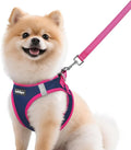 rabbitgoo Dog Harness Small Sized and Leash Set, Step in Soft Vest | Breathable Mesh, Easy Wear with Hook & Loop, Light and Reflective for Walking, Multi-colored, Navy Blue & Rose Red, M by rabbitgoo