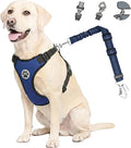 Lukovee Dog Car Harness Seat Belt, Harness & Seatbelt with 2 in 1 Buckle | Adjustable Soft Breathable Mesh Harness, Reflective Elastic Reflective Tether, for Small Medium Large Dogs Pets (Blue, M) by Lukovee