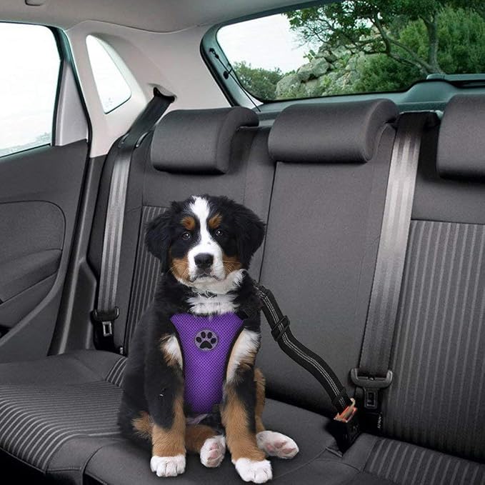 Lukovee Dog Car Harness Seat Belt, Harness & Seatbelt with 2 in 1 Buckle | Adjustable Soft Breathable Mesh Harness, Reflective Elastic Reflective Tether, for Small Medium Large Dogs Pets (Purple,XXS) - Image 3
