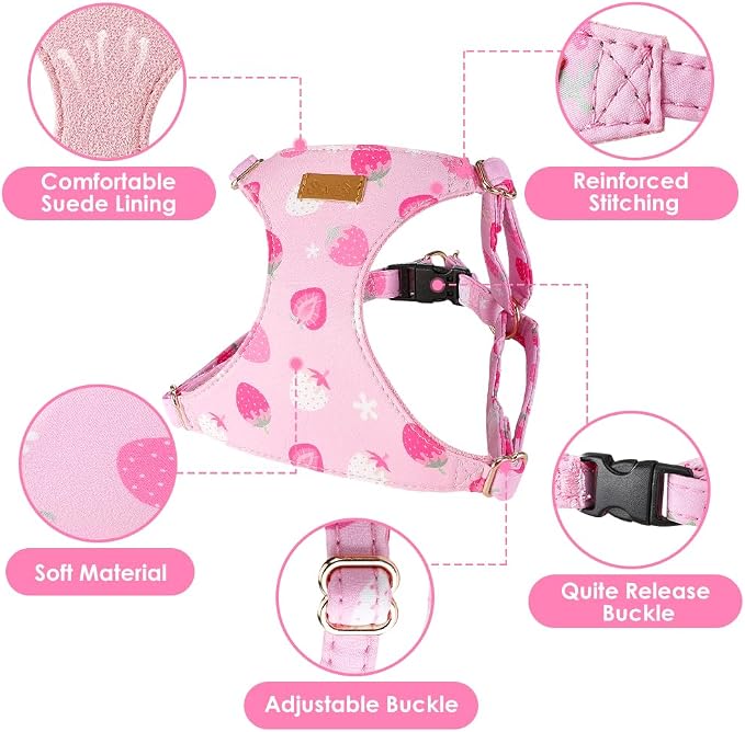 SlowTon No Pull Dog Harness with Leash for Small Medium Dogs, Strawberry S | Floral Pattern, Step-in, Lightweight, Easy Put On and Off, No Choke, Soft Cotton and Suede for Daily Walking - Image 5