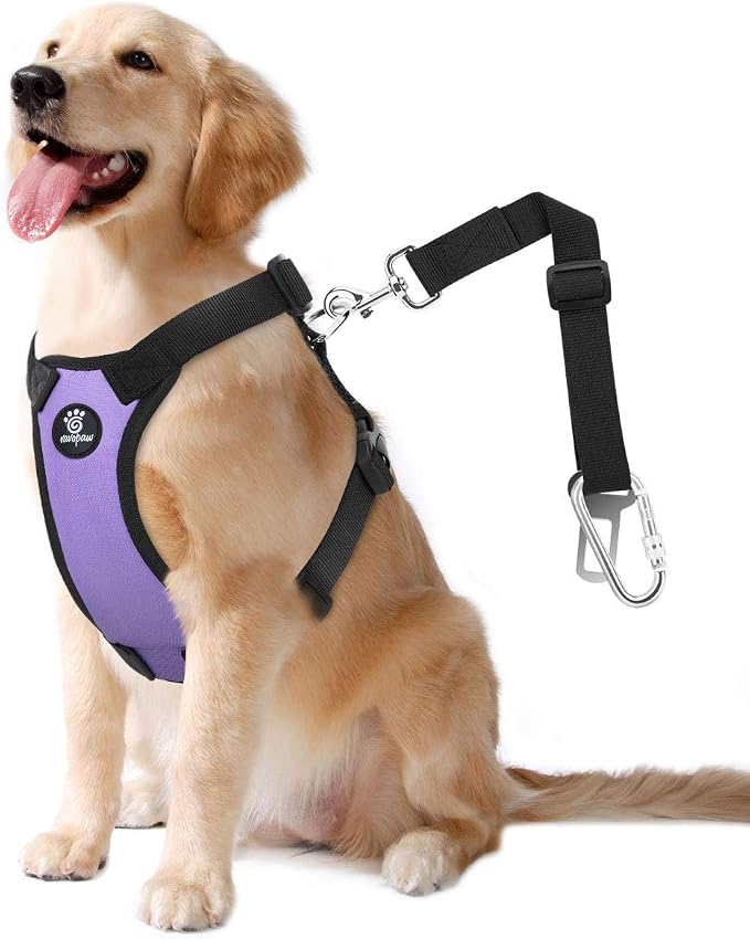 VavoPaw Dog Seat Belt Vest Harness for Car, 2 in 1 Seatbelt Buckle | Soft Breathable Mesh, Adjustable Buckle, Nylon, Heavy Duty Pet Safety Seat Belts for Small Medium Large Pets, Purple, L by VavoPaw