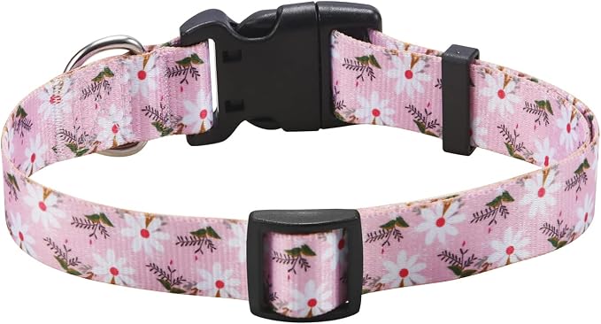 Mihqy Dog Collar for Small Dogs Puppy Cats, Pink White Flower,XS | Neck Fit 7.9"-11.8", Multiple Patterns，4 Sizes for Small Medium Large Dogs, Comfortable for Walks and Outdoor Hikes - Image 2