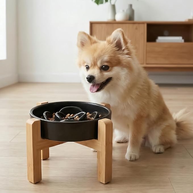 Elevated Ceramic Slow Feeder Dog Bowl with Stand 8.26in for Small&Medium Pet Raised Slow Feeder Dog Bowls Heavy Weighted Non-Toxic Non-Slip (Black, for Small&Medium Size) - Image 6