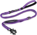 Raipult Tactical Shock Absorbing Bungee Dog Leash Heavy Duty, 4-6ft, Purple | for Large Dogs That Pull, Quick-Release Frog Clip, Dual Handles for Close Control, Car Seat Belt Clip, Reflective at Night by RaipultforPaws