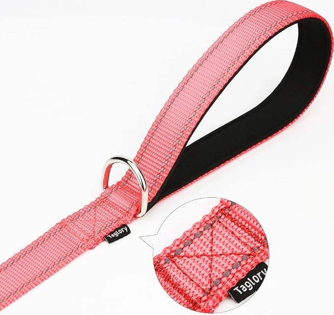 Taglory Reflective Dog Leash for Small Dogs, 3/4in x 4ft, Pink | Ideal for Night Walking, Strong for Sudden Pulls, Lightweight & Gentle on the Neck, Soft Padded Handle - Image 6