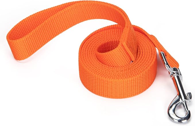 Strong Durable 6ft Nylon Dog Training Leash, 1 Inch Wide Traction Rope, for Small and Medium Dog (Orange, 6 Feet) by Siumouhoi