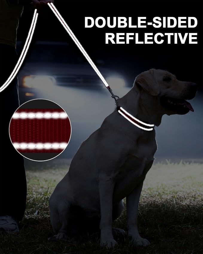 Taglory Reflective Dog Leash for Small Dogs, 3/4in x 6ft, Red | Ideal for Night Walking, Strong for Sudden Pulls, Lightweight & Gentle on the Neck, Soft Padded Handle - Image 5