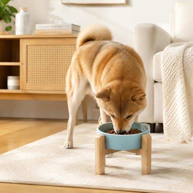 Elevated Ceramic Slow Feeder Dog Bowls Anti-Choking Slow Feeding for Small&Medium Size Anti-Slip Non-Lead & Toxic Durable Easy to Clean Maze Slow Feeder Bowl（8.26in Mint Blue Stars Pattern） - Image 6