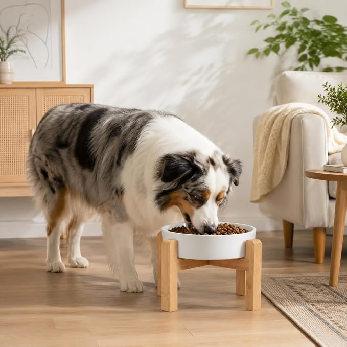 Elevated Ceramic Slow Feeder Dog Bowls Anti-Choking Slow Feeding for Medium& Large Anti-Slip Non-Lead & Toxic Durable Easy to Clean Maze Slow Feeder Bowl（8.66in White Flower Pattern） - Image 6