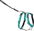 PetSafe 3 in 1 No-Pull Dog Harness - Walk, Train or Travel - Helps Prevent Pets from Pulling on Walks - Seatbelt Loop Doubles as Quick Access Handle - Reflective Accents - Large, Teal | Rests on Chest Not Throat to Reduce Pulling, 5 Adjustment Points, ... by PetSafe