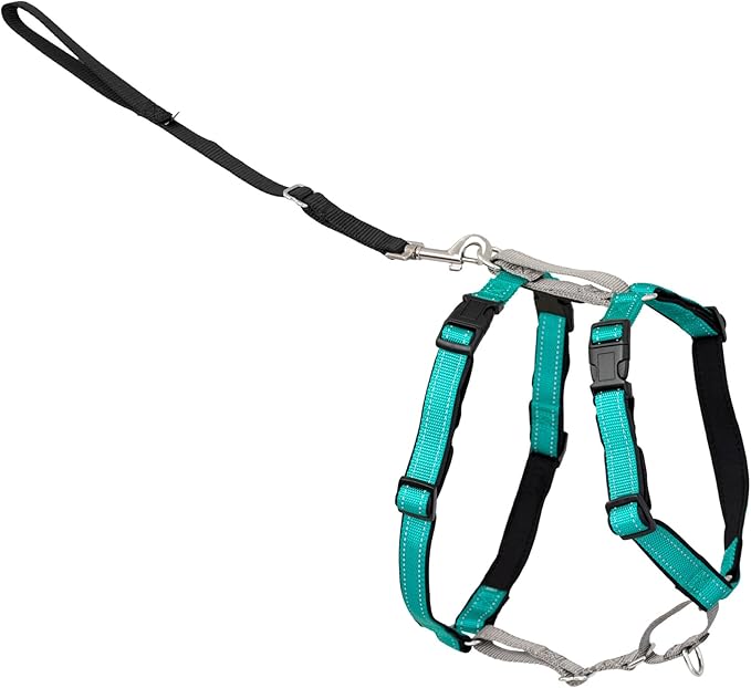 PetSafe 3 in 1 No-Pull Dog Harness - Walk, Train or Travel - Helps Prevent Pets from Pulling on Walks - Seatbelt Loop Doubles as Quick Access Handle - Reflective Accents - Medium, Teal | Rests on Chest Not Throat to Reduce Pulling, 5 Adjustment Points,... by PetSafe