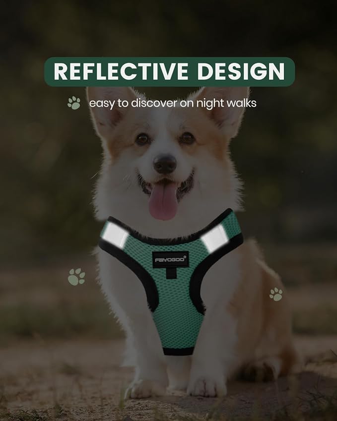 FAYOGOO Service Dog Vest Set for Small Dogs, Mesh Harness and Leash | Lightweight step-in vest with leash and removable identification patches; measure neck and chest before choosing a size - Image 4