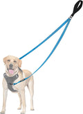 PetBonus Two Point Control Dog Leash, No Tangle Training Walking Leashes | Soft Padded Handle, Reflective, Works with No Pull Harnesses, Converts to Single Lead for Medium Large Dogs, Light Blue by Petbonus