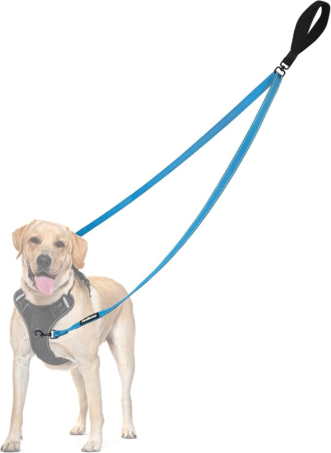 PetBonus Two Point Control Dog Leash, No Tangle Training Walking Leashes | Soft Padded Handle, Reflective, Works with No Pull Harnesses, Converts to Single Lead for Medium Large Dogs, Light Blue by Petbonus