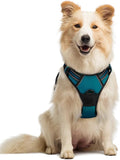 rabbitgoo Dog Harness, No Pull Medium Sized with 2 Leash Clips, Pet Vest | No Choke with Handle, Adjustable Soft Padded, Reflective, Easy Control for Walking, Blue Coral, Medium by rabbitgoo