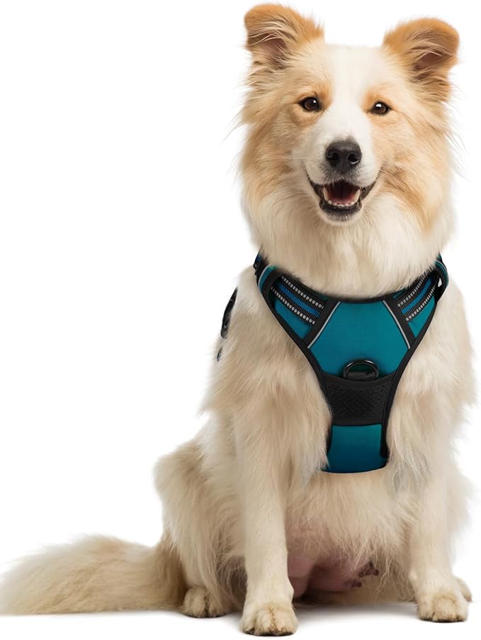 rabbitgoo Dog Harness, No Pull Medium Sized with 2 Leash Clips, Pet Vest | No Choke with Handle, Adjustable Soft Padded, Reflective, Easy Control for Walking, Blue Coral, Medium by rabbitgoo