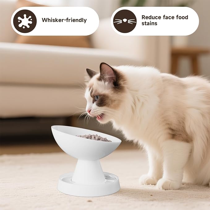 Raised Cat Food Bowl, Ceramic 15° Tilted Cat Bowl(White) | Ant-Proof Design, for Whisker & Neck Fatigue, Protect Pet's Spine, Titled Anti-Vomiting Cat Dish, All Life Stage - Image 7