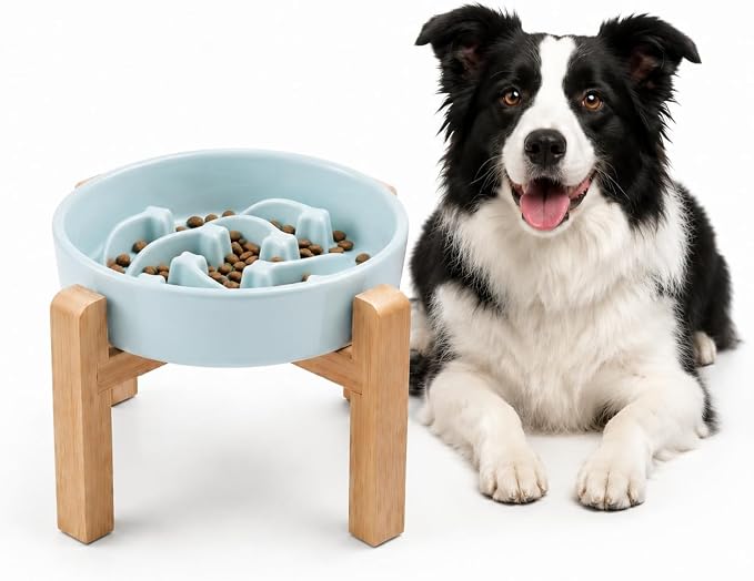 Elevated Ceramic Slow Feeder Dog Bowls Anti-Choking Slow Feeding for Medium& Large Anti-Slip Non-Lead & Toxic Durable Easy to Clean Maze Slow Feeder Bowl（8.66in Mint Blue Stars Pattern） by addggo