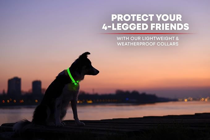 ILLUMISEEN LED Dog Collar USB Rechargeable - Bright & High Visibility Lighted Glow Collar for Pet Night Walking - Weatherproof, in 6 Colors & 6 Sizes (Green XX-Small) - Image 6