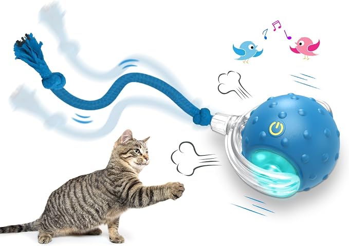 Giociv Interactive Cat Toys Ball for Indoor Cats Fast Rolling on Carpet, Chirping & Motion Activate Cat Toys (Blue) by Giociv
