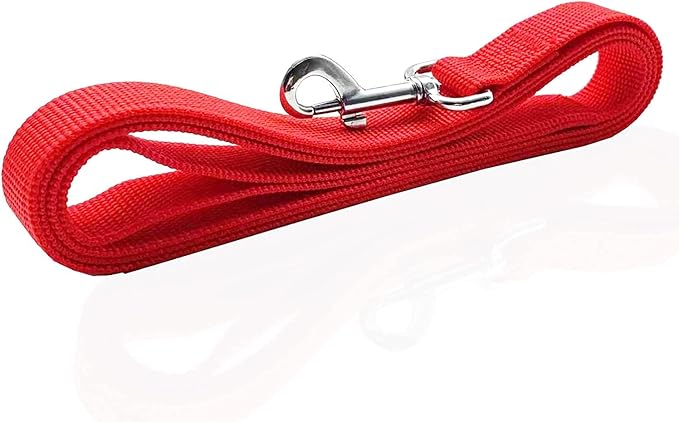 Nylon Dog Leash 4 Ft 5 Feet 6 Foot Long, Walking Training Dog Leashes for Medium Large Dogs, 1 Inch Wide (3/4" X 6 ft, Red) - Image 3