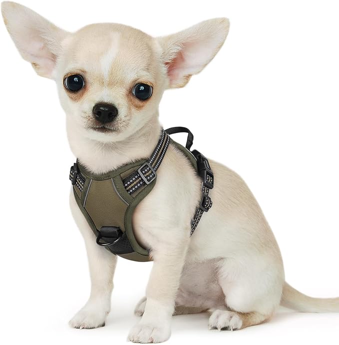 Eagloo Dog Harness for Small Dogs, No Pull Pet Vest with 2 Leash Clips | No Choke with Handle, Adjustable Comfort Fit, Reflective Strips, Easy Walking Control, Brown, X-Small by GoExplorewithEagloo