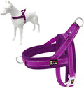 Plutus Pet No Pull Dog Harness for Medium Sized Dog, Breathable Mesh Padded | Adjustable Reflective with Handle, Escape Proof, Quick Fit Pet Vest, Front Clip, for Training and Walking, Purple, M by PLUTUSPET