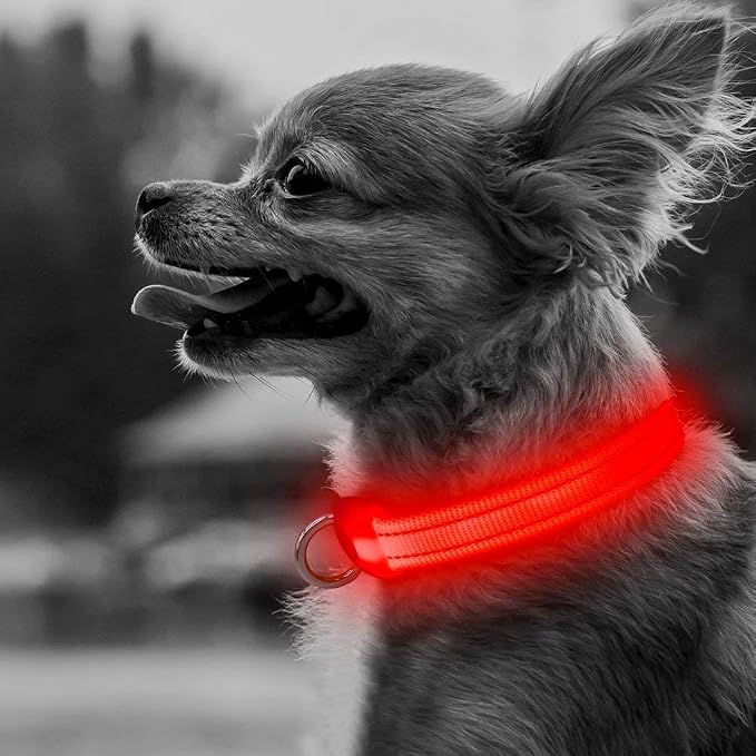 LED Dog Collar - Rechargeable Light Up Dog Collar for Small Dogs& Cats, Reflective Adjustable Puppy Collar Safety Dog Lights for Night Walking (Red, XS) - Image 7