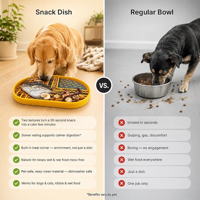 Snack Dish Slow Feeder Bowl for Dogs & Cats – Dual Pattern Design with Treat Corner, Mess-Free Feeding, Dishwasher Safe | Kubi Pets - Image 8