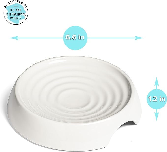 CatGuru Cat Bowls, Whisker Friendly Food Bowl for Indoor Cats, Reliefs Whisker Fatigue, Wide Kitten Dish, Non Slip Pet Dishes, Shallow Pet Plates (Ceramic (Pack of 2)) - Image 3