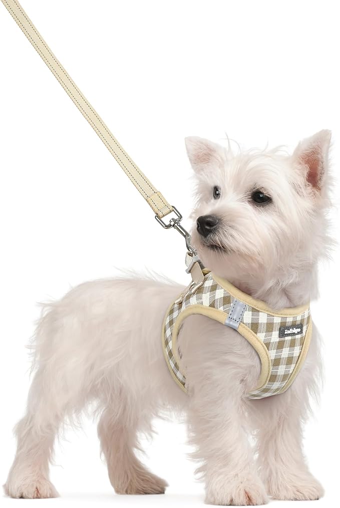 rabbitgoo Dog Harness Small Sized and Leash Set, Step-in Puppy Pet Vest | Light, Soft, Breathable Air Mesh, Easy on and Remove with Hook & Loop, Secure Reflective for Walking, Beige Check S by rabbitgoo