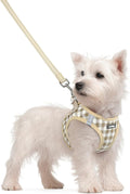 rabbitgoo Dog Harness Small Sized and Leash Set, Step-in Puppy Pet Vest | Light, Soft, Breathable Air Mesh, Easy on and Remove with Hook & Loop, Secure Reflective for Walking, Beige Check S by rabbitgoo