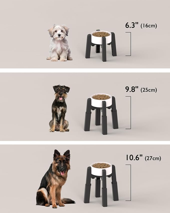 Dog Bowl Stand with Adjustable Height and Width [2 Pack, Stand Only] | Elevated Pet Water & Food Bowl for Medium Dogs, Stable and Anti-Slip Raised Bowl - Image 6