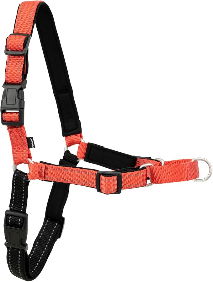 Petsafe Deluxe Easy Walk Harness, Large, Rose Pink, EWH-D-HC-L-RSE | Padded Neoprene Straps, Reflective Strips for Night Safety, Martingale Loop Curbs Pulling from the Chest, Not the Throat by PetSafe