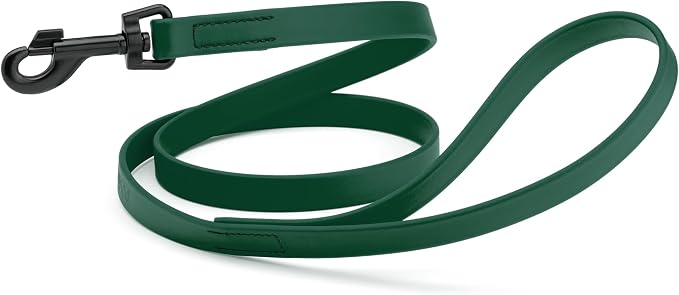 Dogline Biothane Waterproof Dog Leash Strong Coated Nylon Webbing with Black Hardware Odor-Proof Easy to Clean High Performance for Small or Large Dogs Made in USA 4 or 6 ft Lead, Hunter Green by Dogline