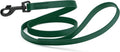Dogline Biothane Waterproof Dog Leash Strong Coated Nylon Webbing with Black Hardware Odor-Proof Easy to Clean High Performance for Small or Large Dogs Made in USA 4 or 6 ft Lead, Hunter Green by Dogline