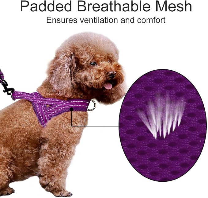 Plutus Pet No Pull Dog Harness for Puppy Small Dogs, Breathable Mesh Padded | Adjustable Reflective with Handle, Escape Proof, Quick Fit Pet Vest, Front Clip, for Training and Walking, Purple, XXS - Image 3