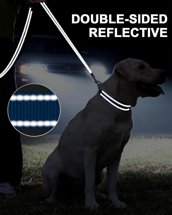 Taglory Reflective Dog Leash for Medium Large Dogs, 1in x 5ft, Sky Blue | Ideal for Night Walking, Strong for Sudden Pulls, Lightweight & Gentle on the Neck, Soft Padded Handle - Image 5