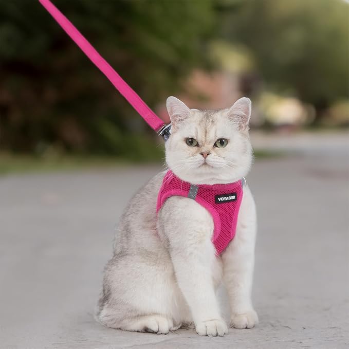 Voyager Step-in Air Cat Harness & Leash Set - Fuchsia, S | 14 - 16" in Chest, Reflective Bands, All Weather Breathable Air Mesh, Cats Compatible, Fast Drying - Image 7