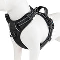 No Pull Dog Harness Medium Reflective Front Clip Puppy Vest | with Handle,Adjustable 2 Metal Leash Attachment Hooks(M, Black) by PHOEPET