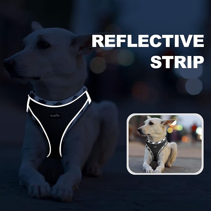 haapaw Dog Harness with Leash Set, No Pull Adjustable Reflective Step-in Puppy Harness with Thickened Padded Vest for Extra-Small/Small Medium Dogs - Image 5