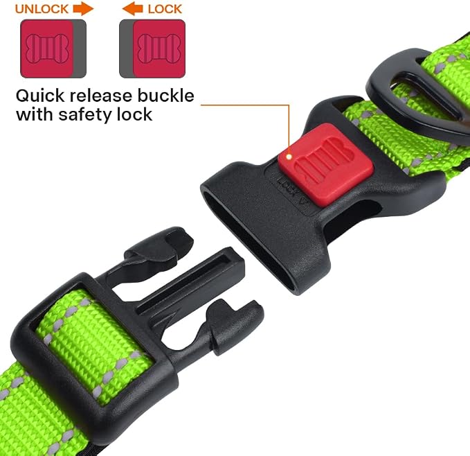 Taglory Reflective Small Dog Collar, Comfortable for Safe Night Walks,Green | Night-Walk Visibility, Soft Neck Cushioning, Adjustable 10-16 in, Locking Buckle, D-Ring for Leash and ID Tags - Image 3