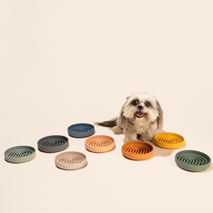 Should We Go? Slow Feeder Dog Bowls - Small Size Silicone Slow Eating Dog Bowl for Puppies & Dogs with Suction Cup -Dishwasher-Safe,Lick Mat Design,Reduces Gulping, for All Breeds, 6”x1.25”- Charcoal - Image 8