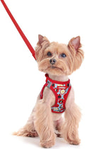 rabbitgoo Dog Harness Small Sized and Leash Set, Step-in Puppy Pet Vest | Light, Soft, Breathable Air Mesh, Easy on and Remove with Hook & Loop, Secure Reflective for Walking, Apple Pups XXS by rabbitgoo