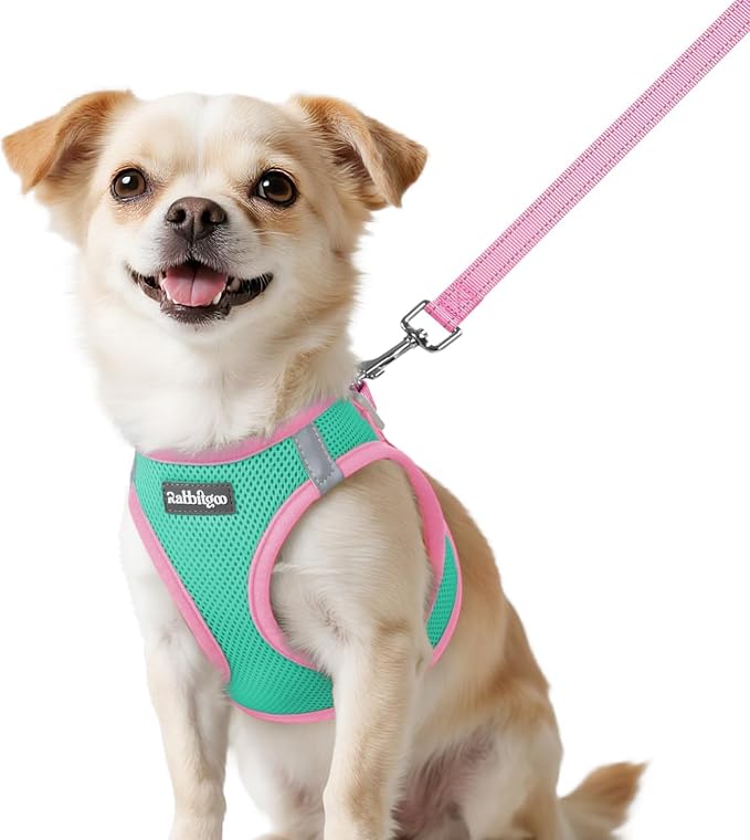 rabbitgoo Dog Harness Small Sized and Leash Set, Step in Soft Vest | Breathable Mesh, Easy Wear with Hook & Loop, Light and Reflective for Walking, Multi-colored, Teal & Pink, XXS by rabbitgoo