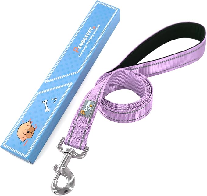 6 FT Basic Dog Leash for Small Dogs,Lavender | Padded Handle,Metal D-Ring,Heavy Duty Nylon Webbing, for Walking & Training - Image 6