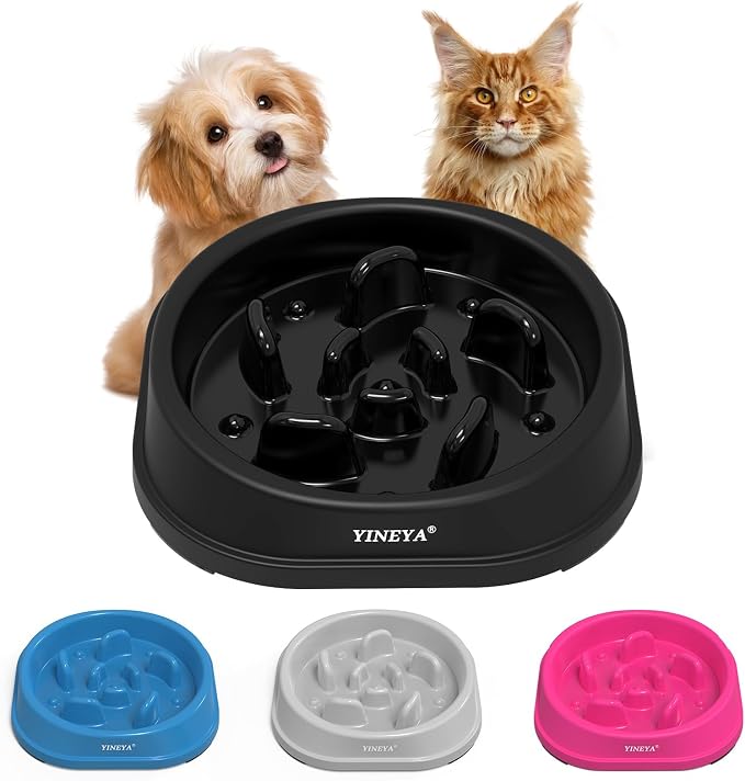 YINEYA Anti-Choking Slow Feeder Dog Bowls Small Size Dog, Slow Feeder Cat Bowl, Supplies and Puzzle for Pet by YINEYA