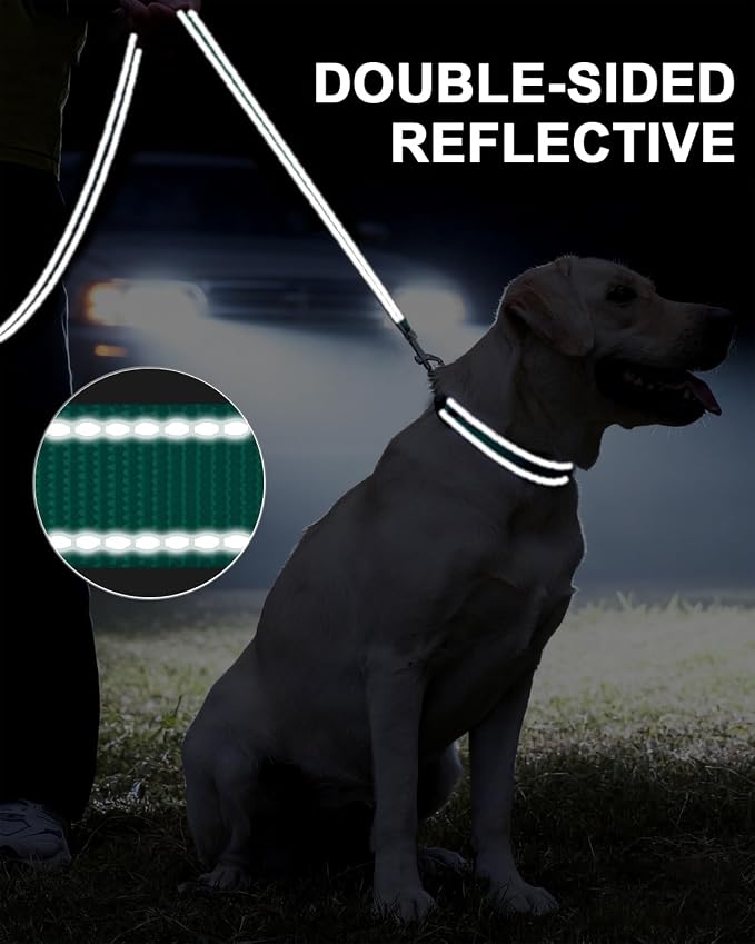 Taglory Reflective Dog Leash for Small Dogs, 3/4in x 5ft, Turquoise | Ideal for Night Walking, Strong for Sudden Pulls, Lightweight & Gentle on the Neck, Soft Padded Handle - Image 5